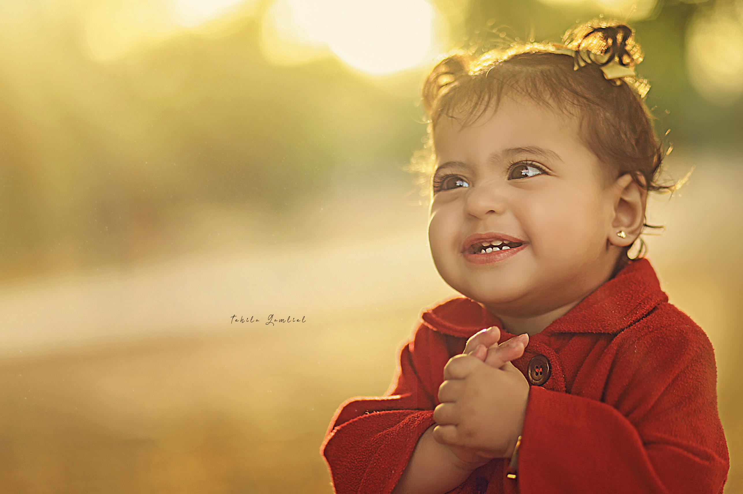 צילום מסך 2023-11-27 ב-17.30.15.png