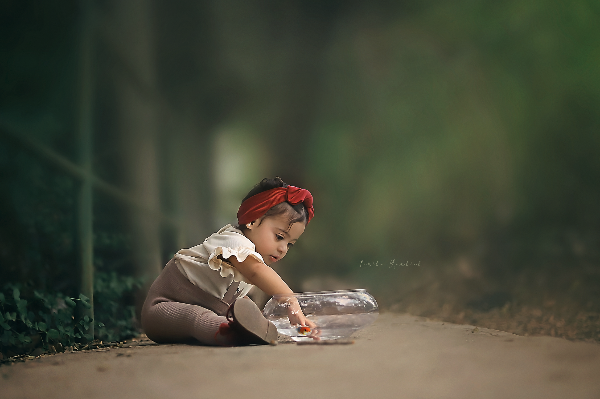 צילום מסך 2023-11-27 ב-17.32.53.png