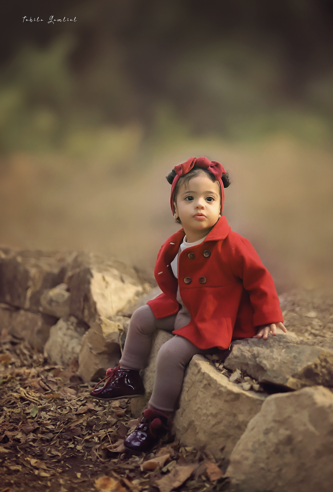 צילום מסך 2023-11-27 ב-17.41.01.png