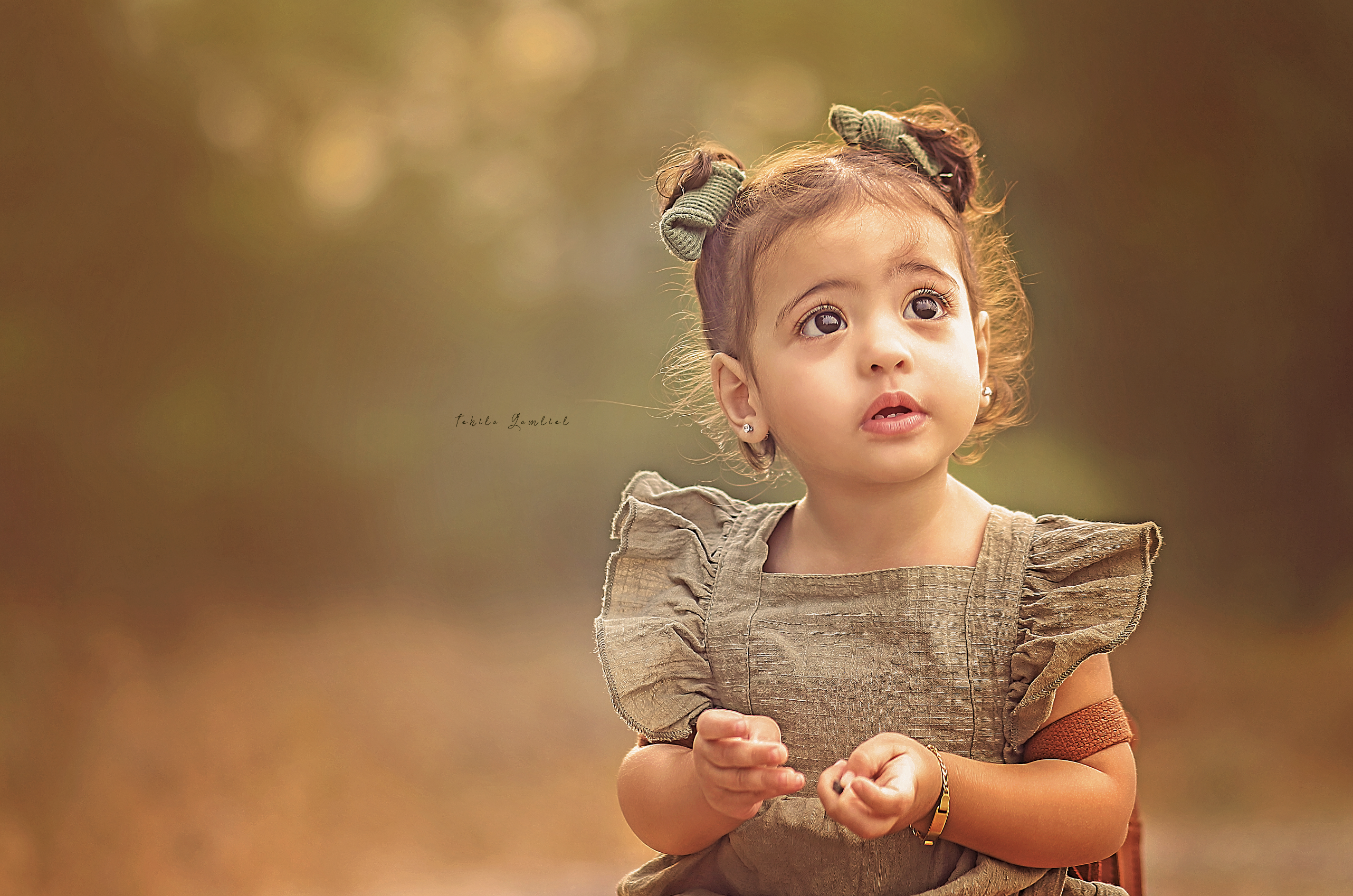 צילום מסך 2023-11-27 ב-17.41.17.png