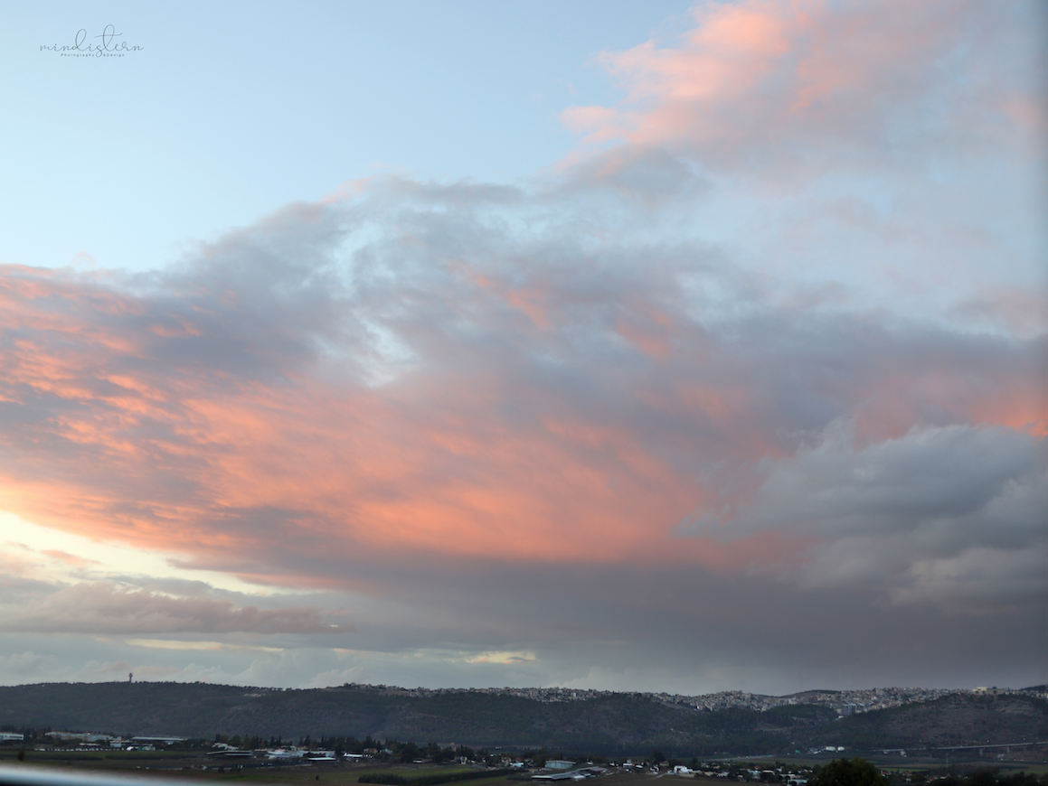 צילום מסך 2023.11.27 ב.21.41.20.png