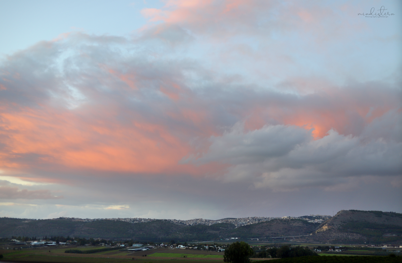 צילום מסך 2023.11.27 ב.21.41.31.png