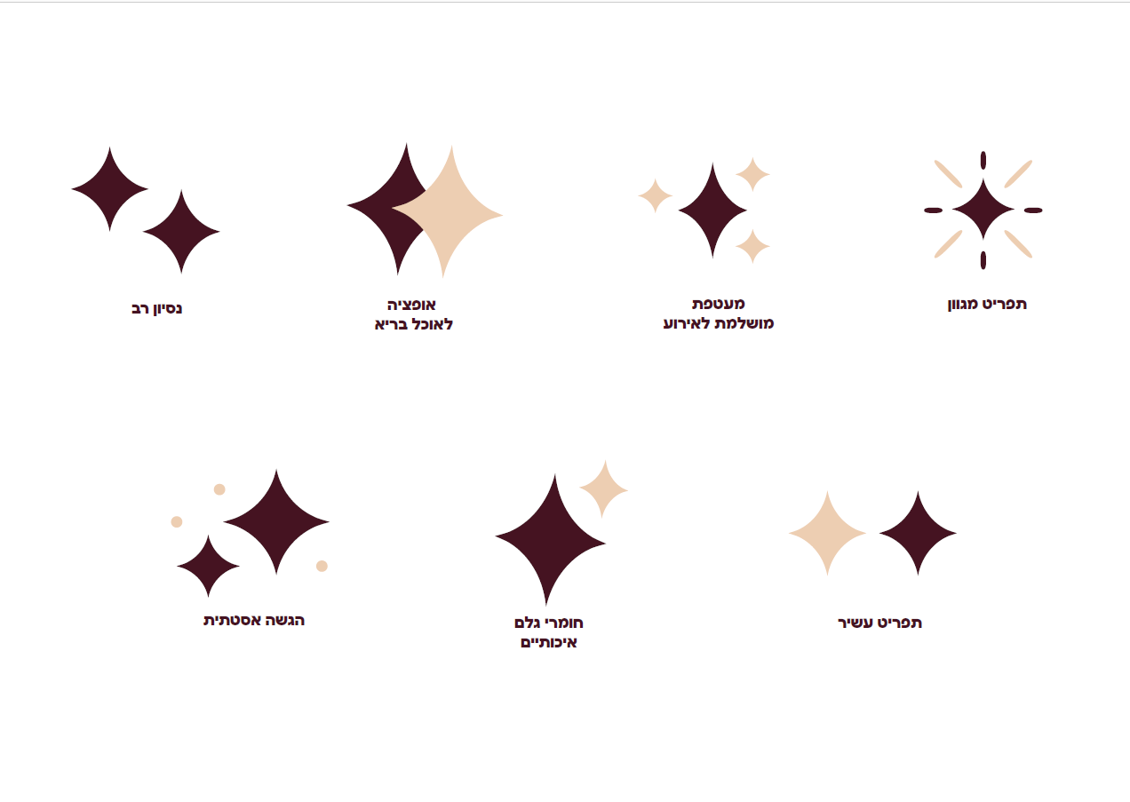 צילום מסך 2023-12-06 154305.png