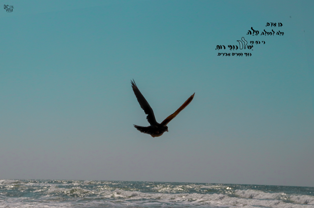 צילום מסך 2024-01-02 230608.png