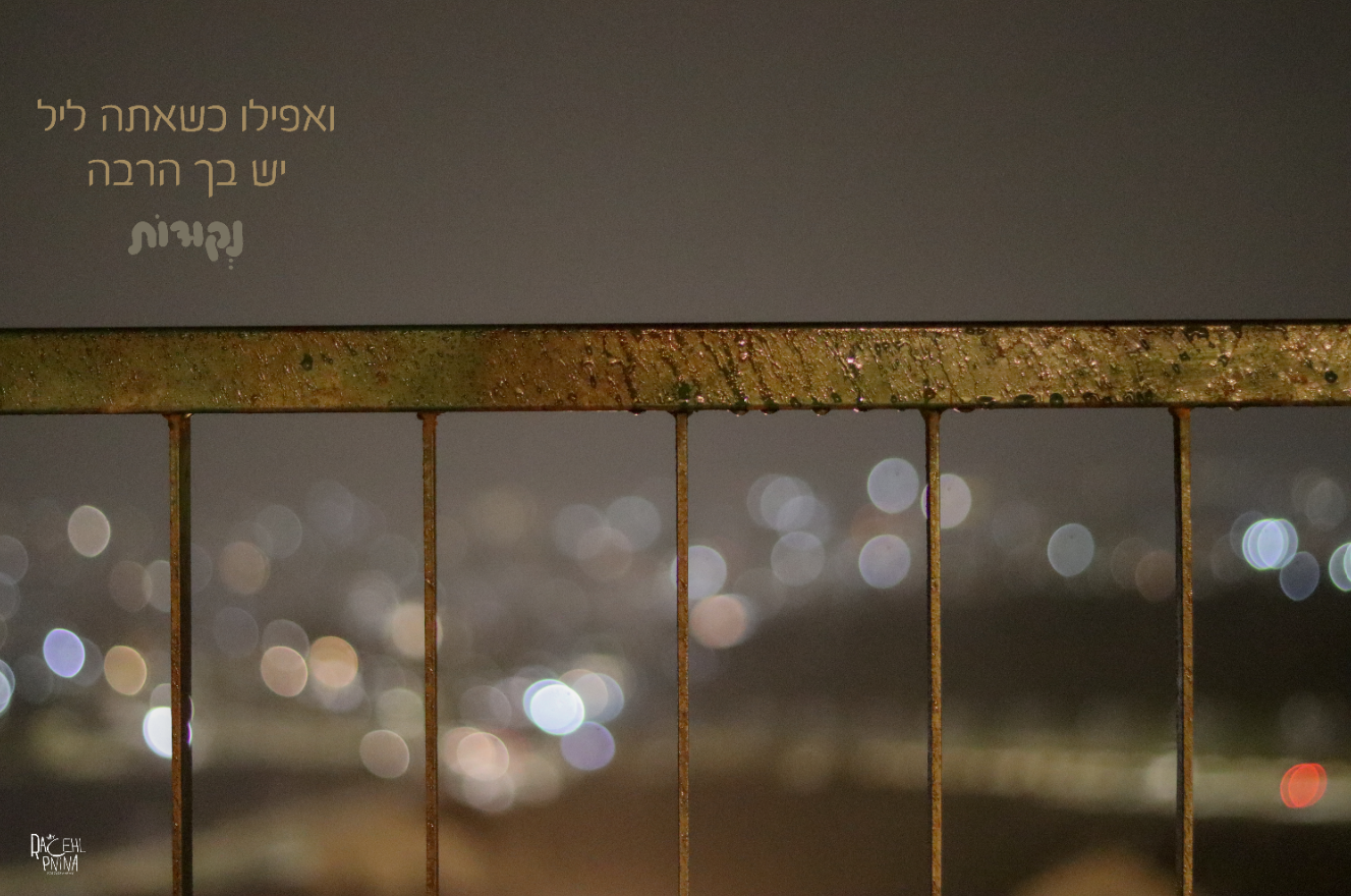 צילום מסך 2024-01-02 231635.png