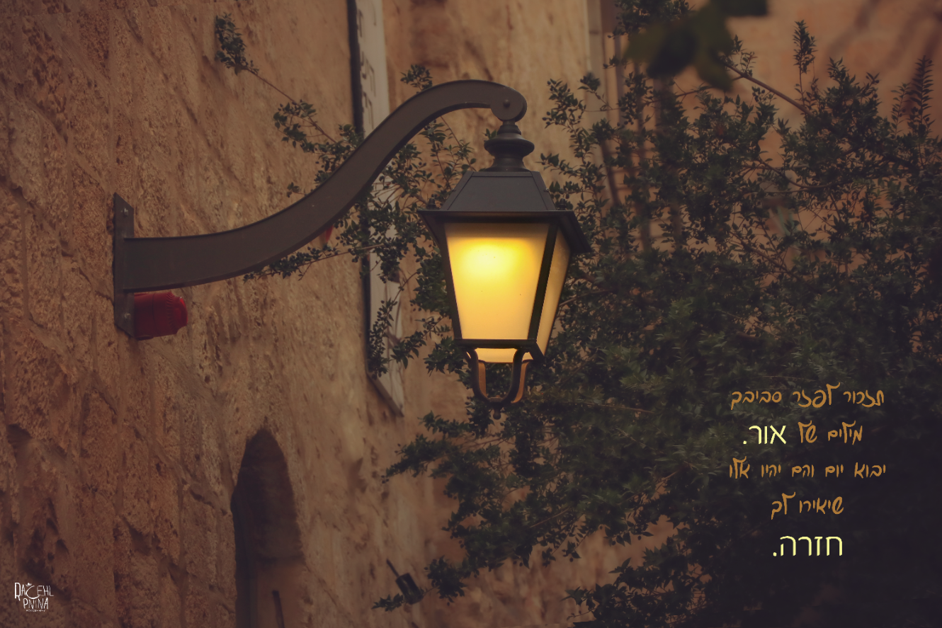 צילום מסך 2024-01-02 231655.png