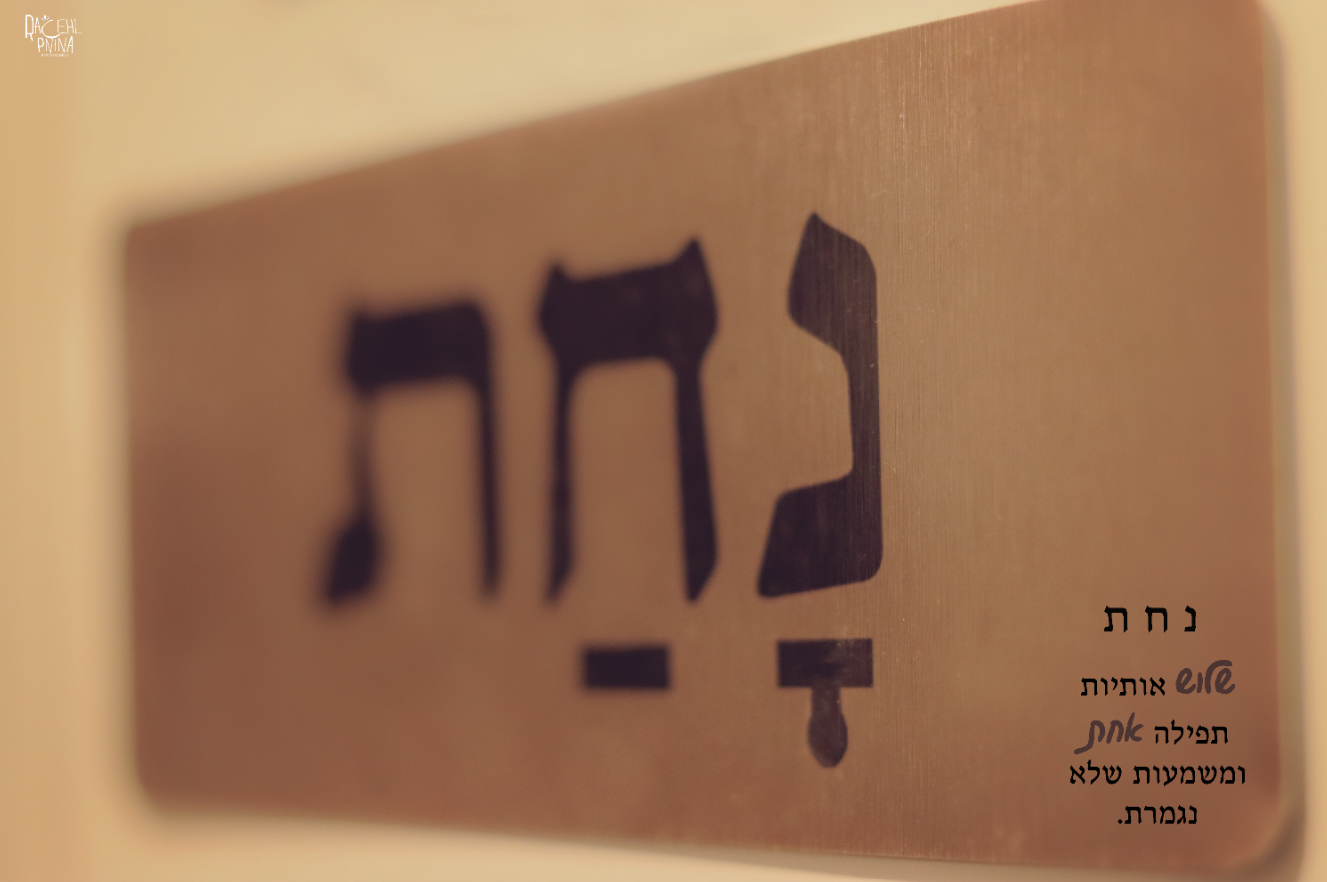 צילום מסך 2024-01-02 231714.png