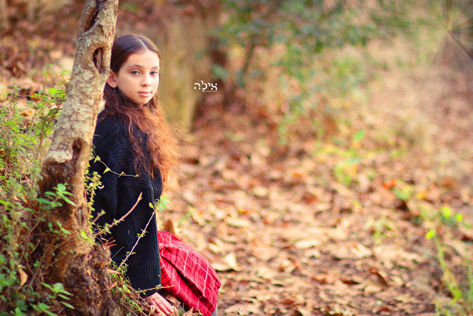 צילום מסך 2024-01-03 183129.png