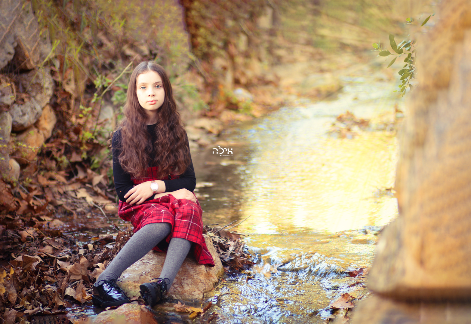 צילום מסך 2024-01-03 183220.png