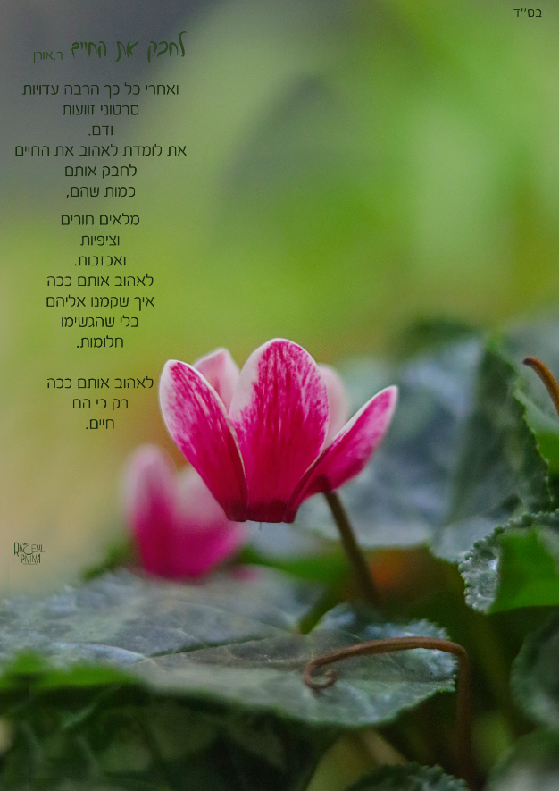 צילום מסך 2024-01-10 002529.png