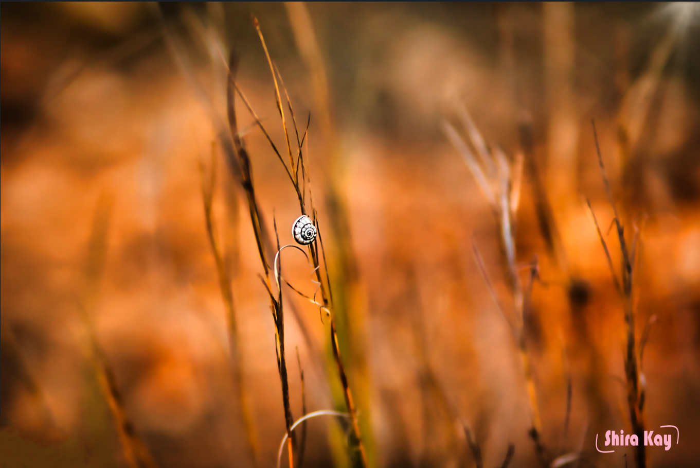 צילום מסך 2024-01-17 212624.png