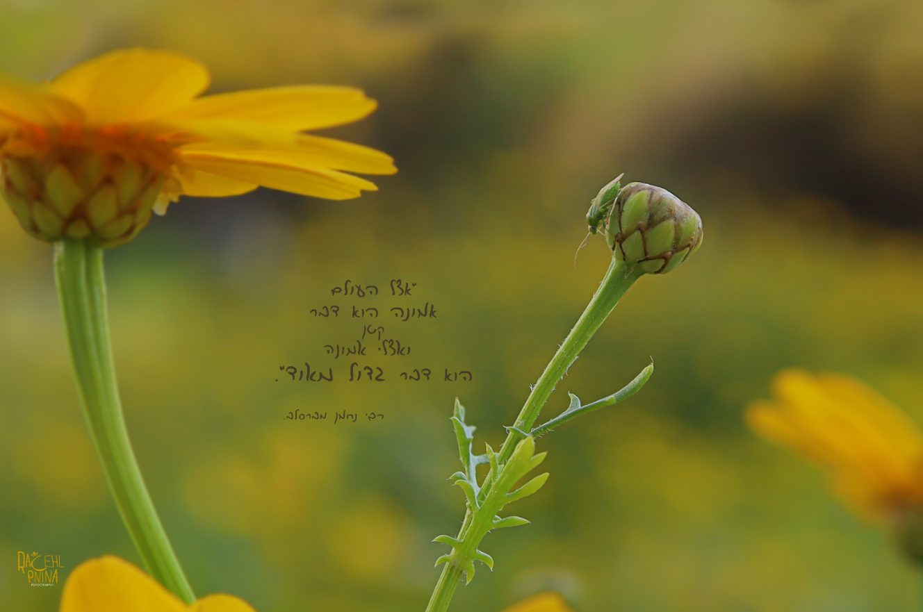 צילום מסך 2024-01-18 004223.png