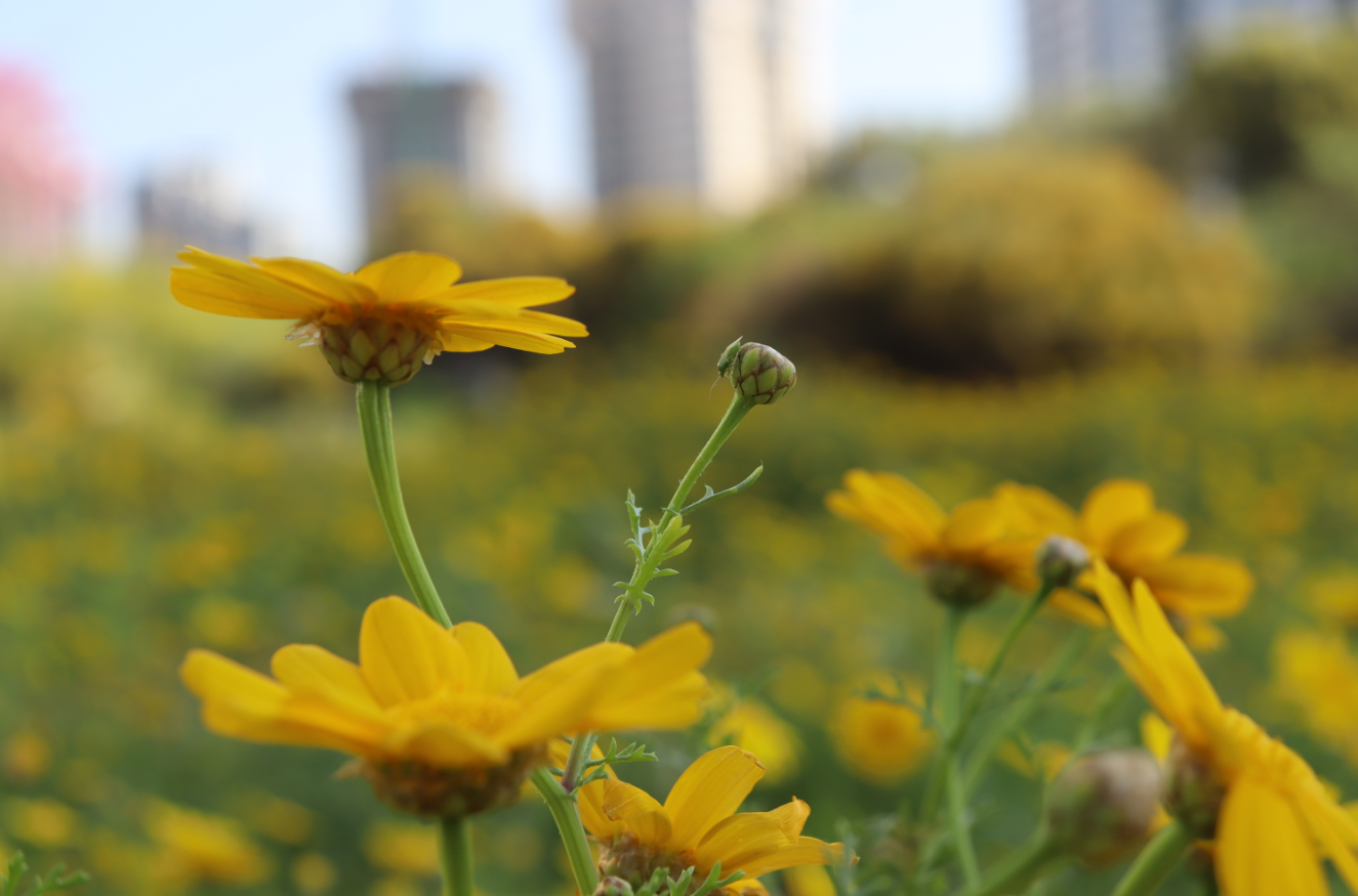 צילום מסך 2024-01-18 004709.png