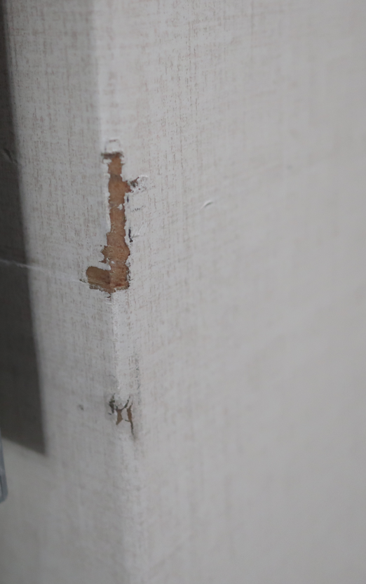 צילום מסך 2024-01-31 124616.png