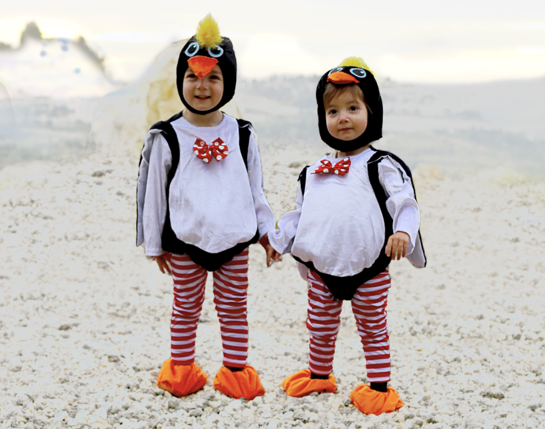 צילום מסך 2024-02-12 185414.png