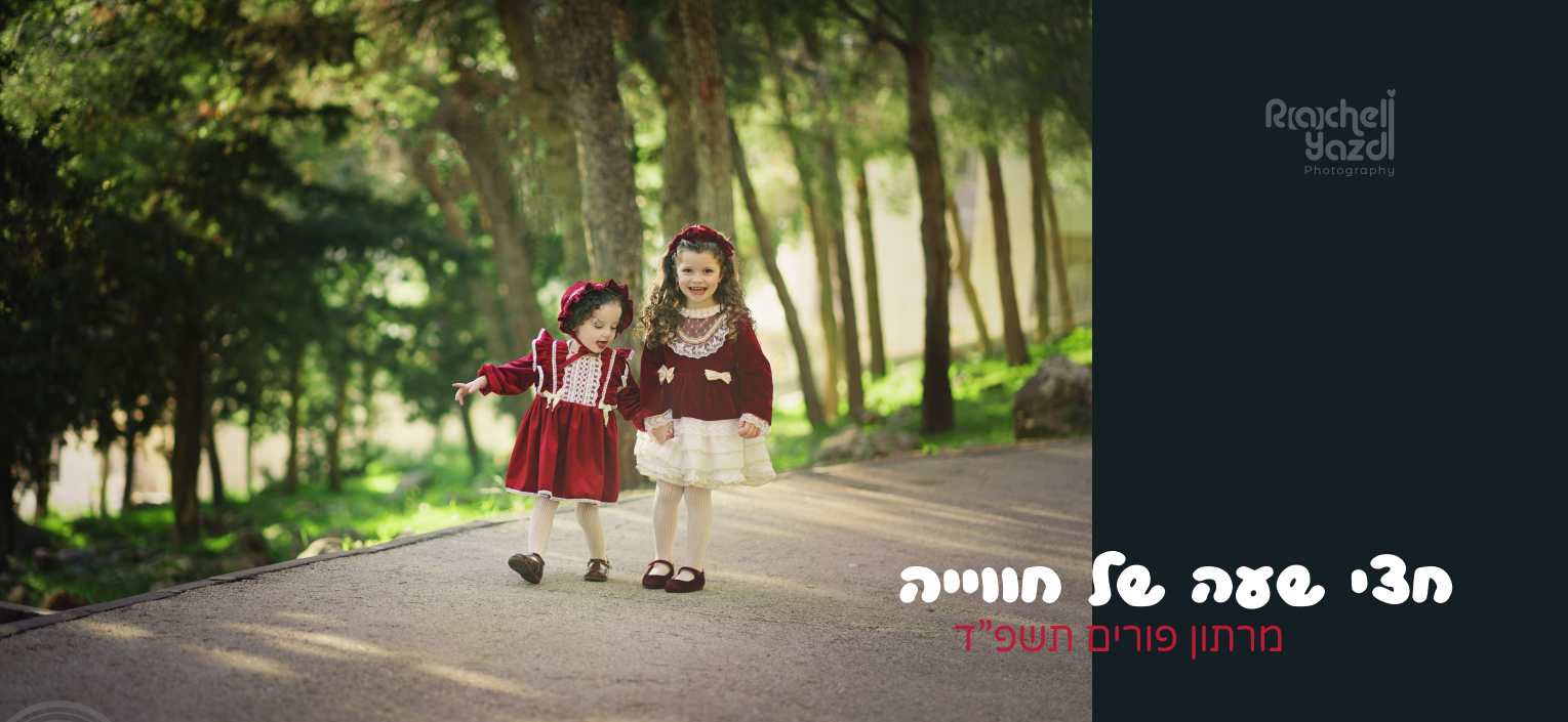 צילום מסך 2024-02-28 190330.png