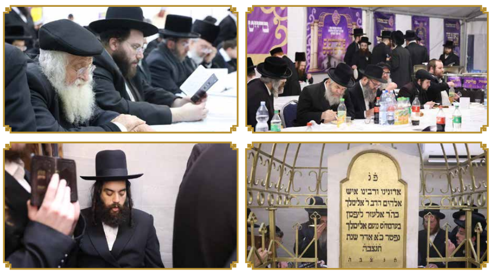 צילום מסך 2024-03-03 093555.png