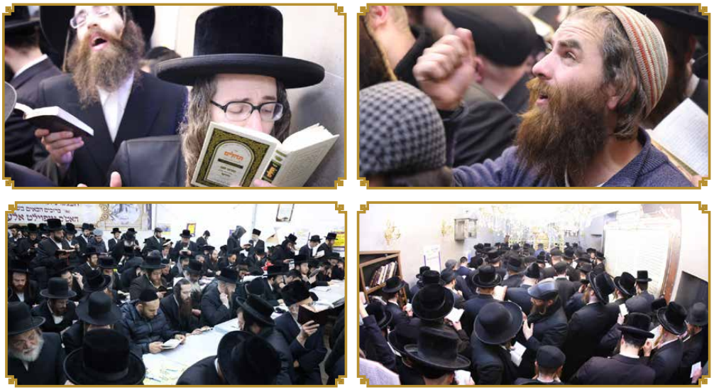 צילום מסך 2024-03-03 093614.png