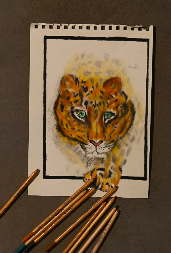 צילום מסך 2024-03-07 011132.png