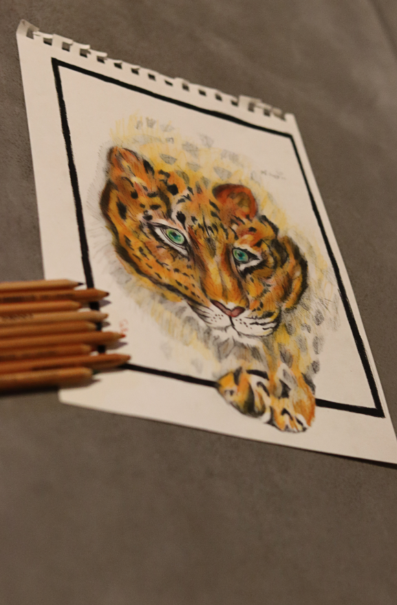 צילום מסך 2024-03-07 011150.png