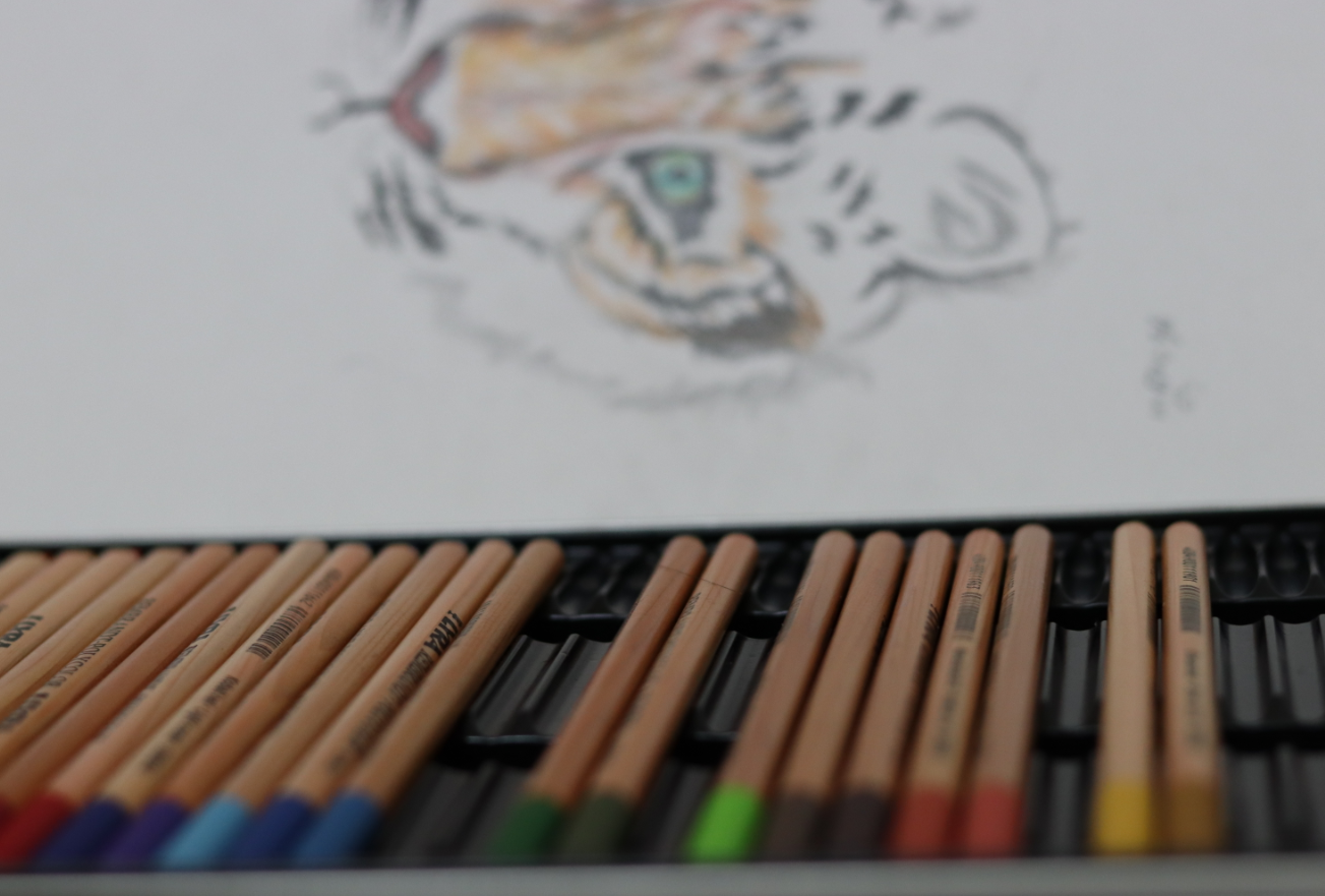 צילום מסך 2024-03-07 011219.png