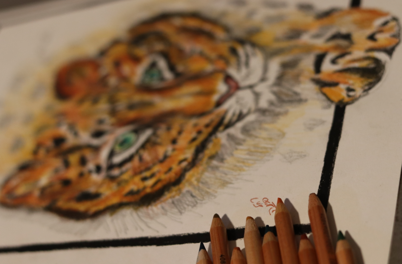 צילום מסך 2024-03-07 011330.png