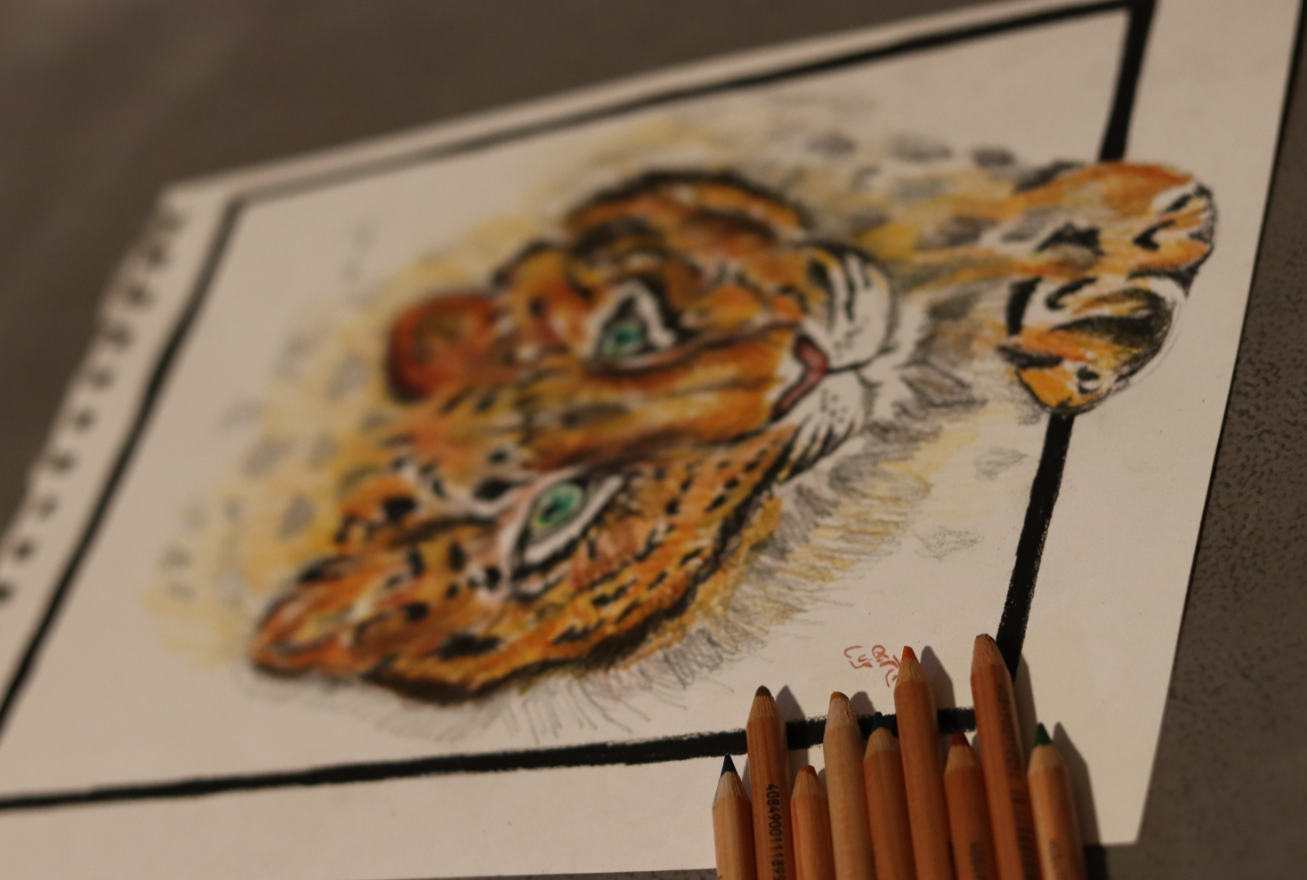 צילום מסך 2024-03-07 011347.png