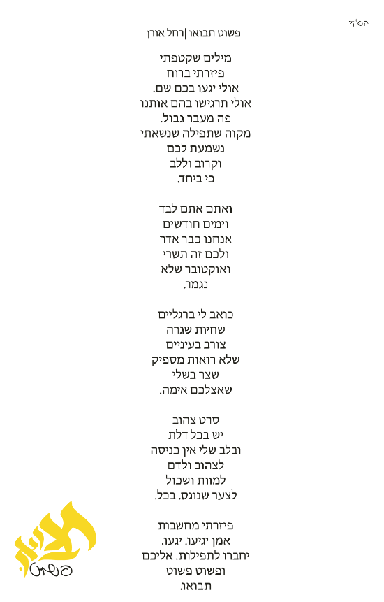 צילום מסך 2024-03-13 023705.png