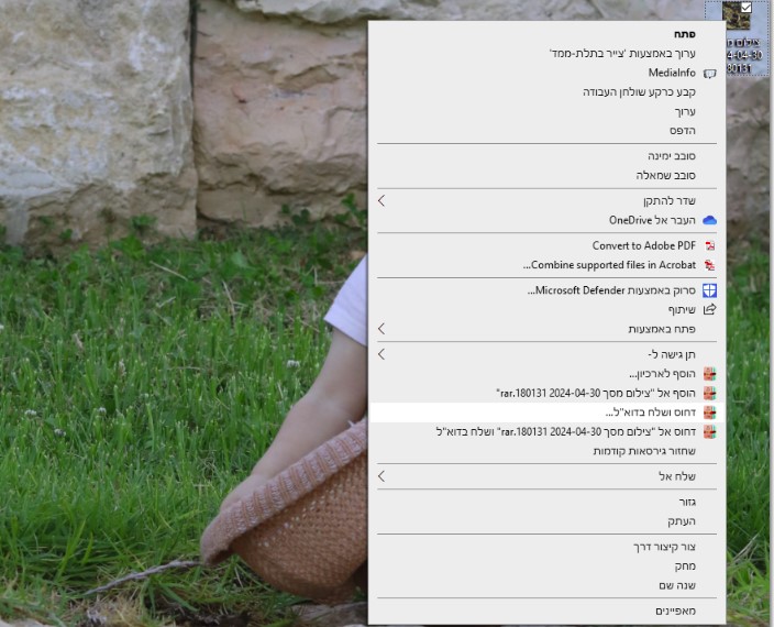 צילום מסך 2024-04-30 183535.jpg