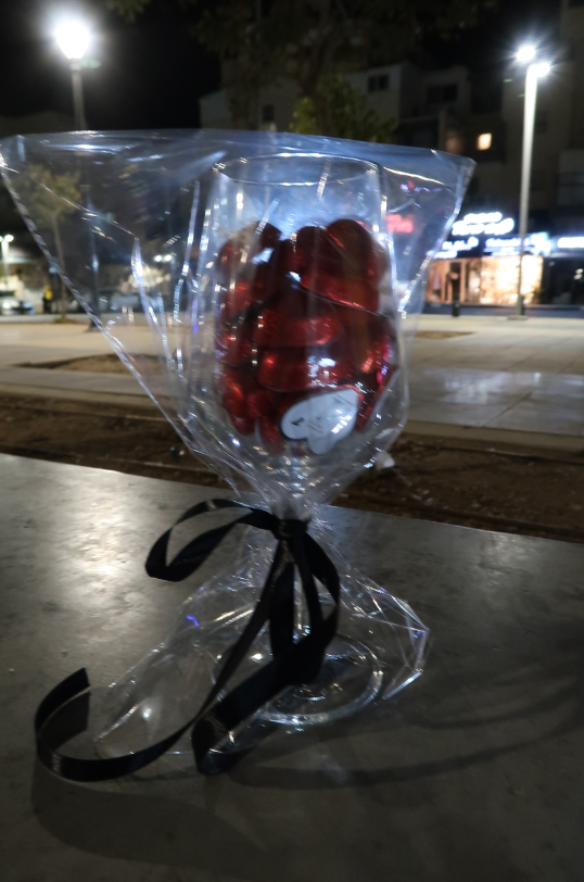 צילום מסך 2024-05-01 021256.png