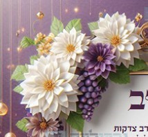 צילום מסך 2024-05-05 214523.jpg