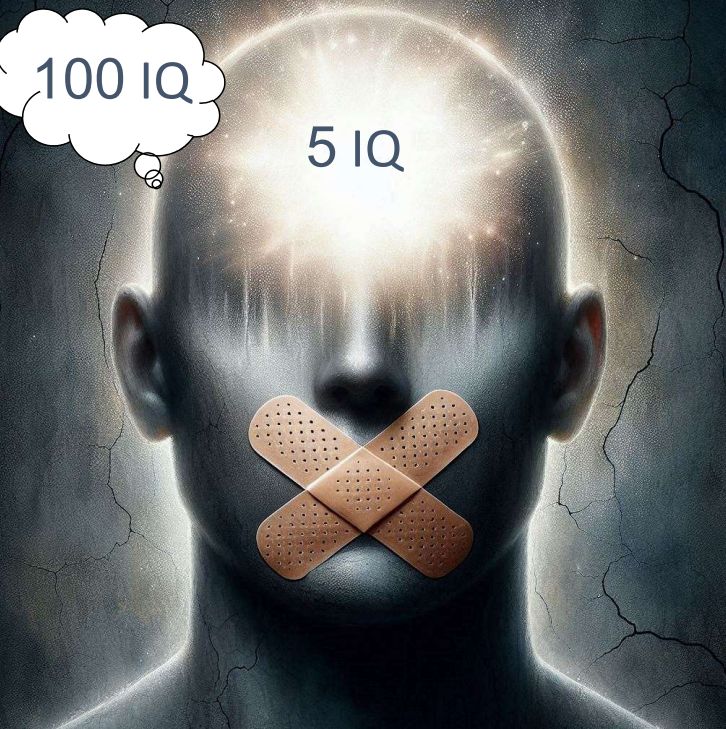 צילום מסך 2024-05-07 034649.png