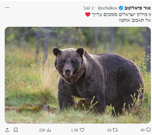 צילום מסך 2024-05-20 005315.png