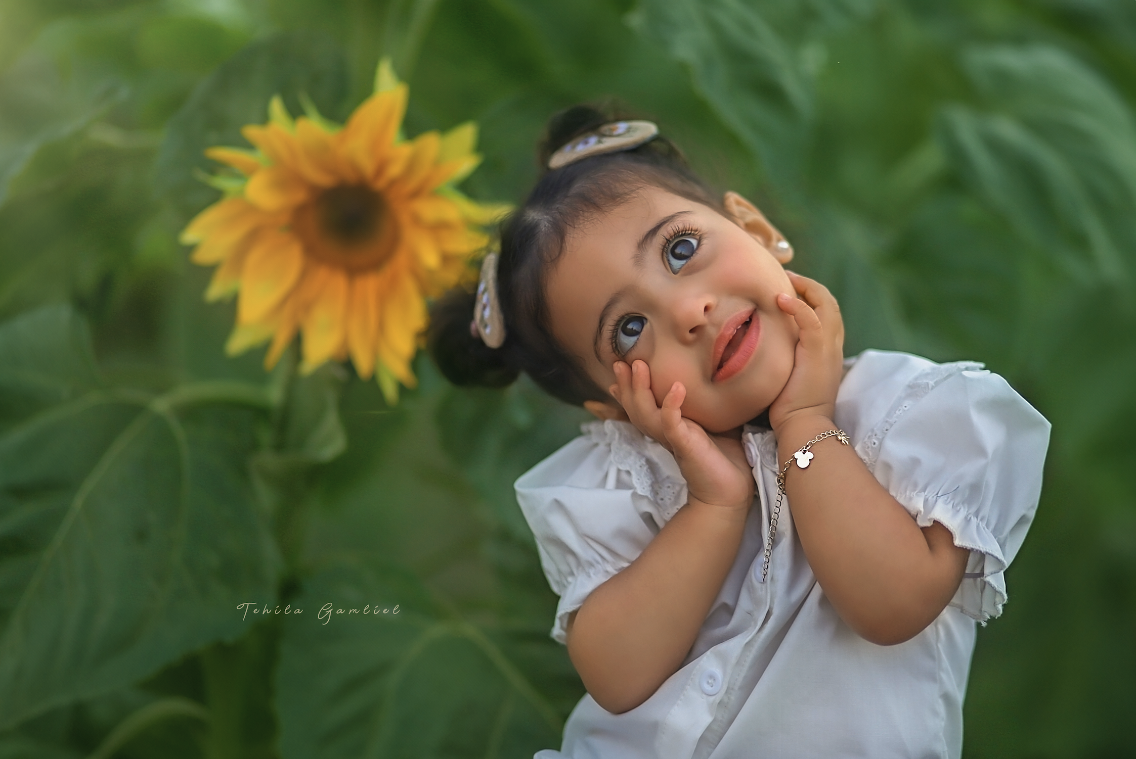 צילום מסך 2024-06-03 ב-23.03.23.png