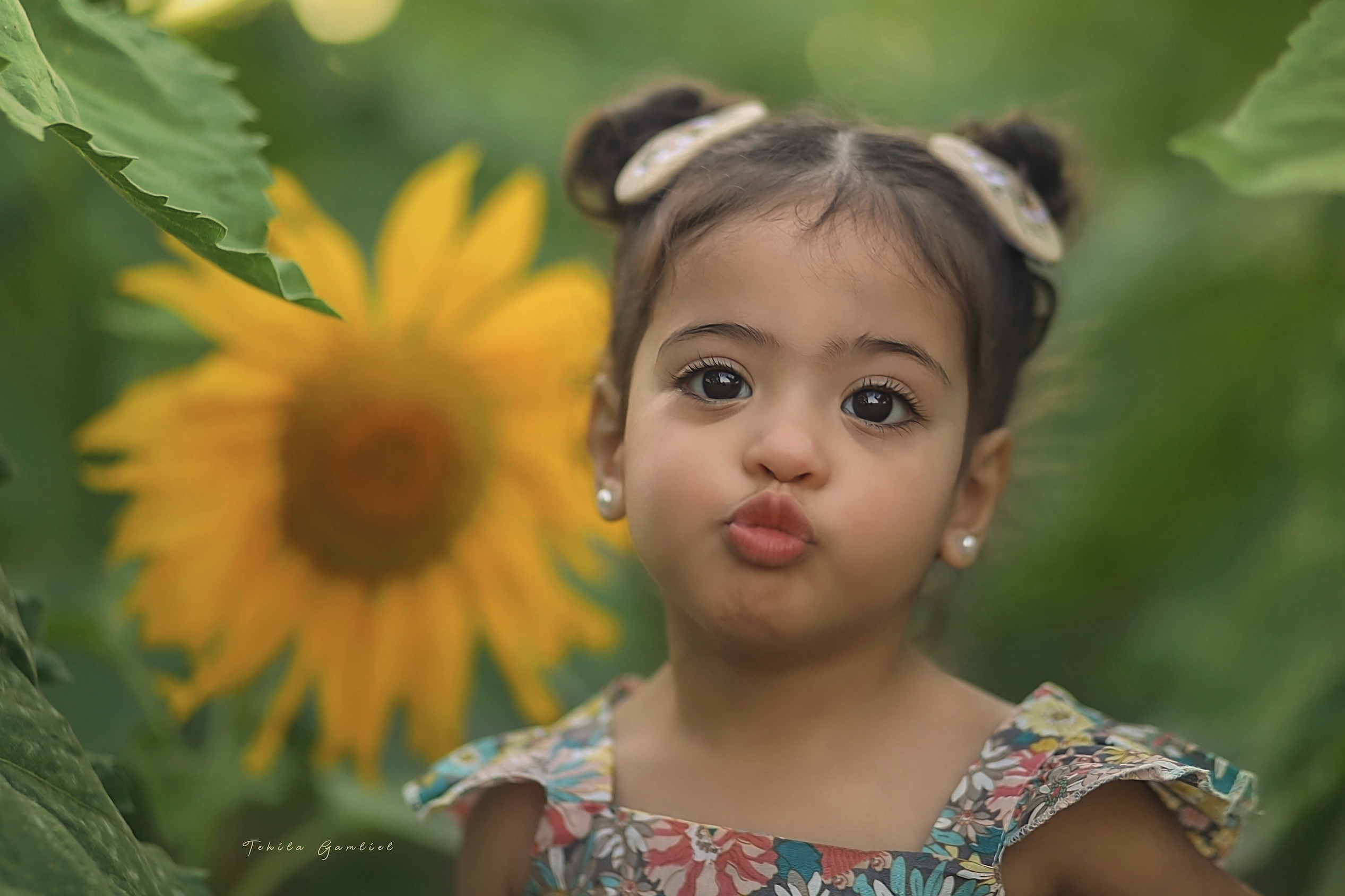 צילום מסך 2024-06-04 ב-10.26.03.png