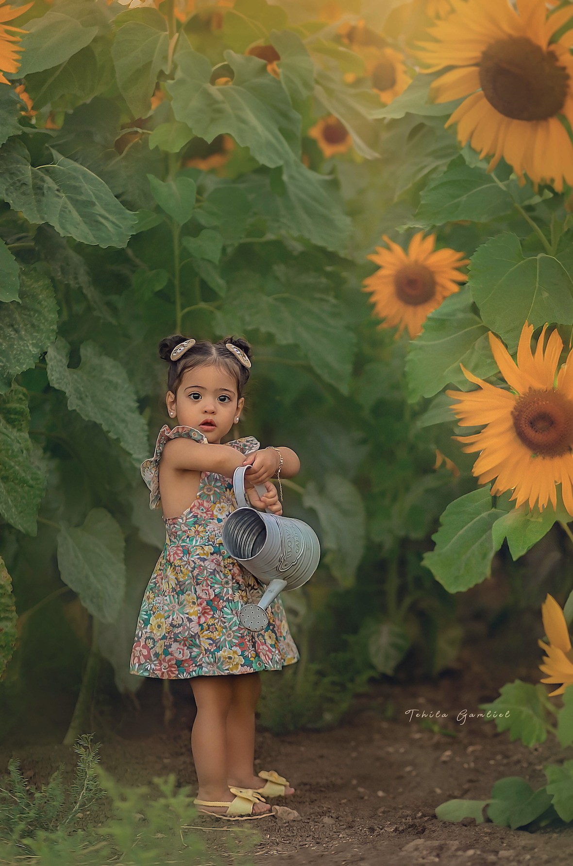 צילום מסך 2024-06-04 ב-10.26.30.png