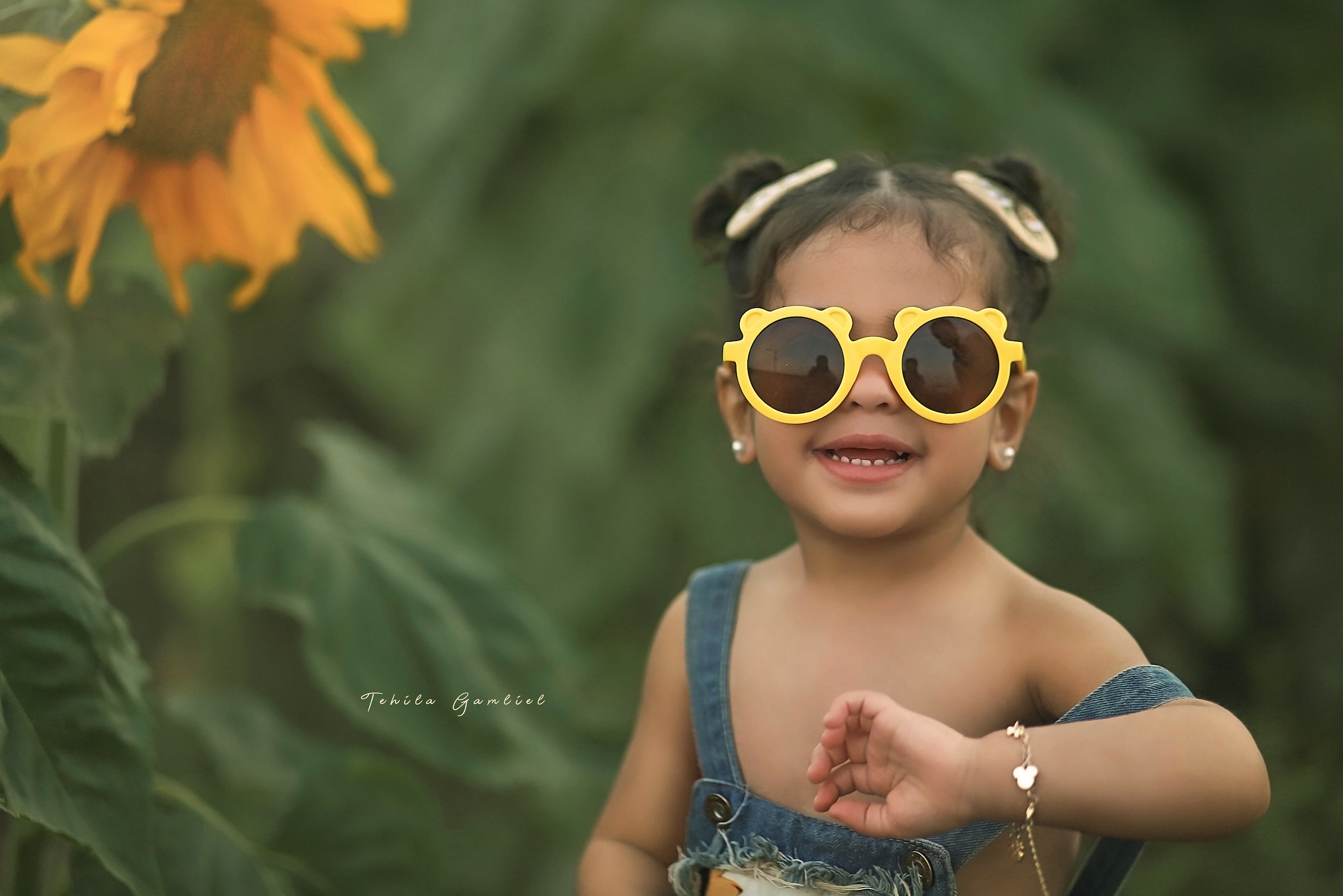 צילום מסך 2024-06-04 ב-10.26.46.png