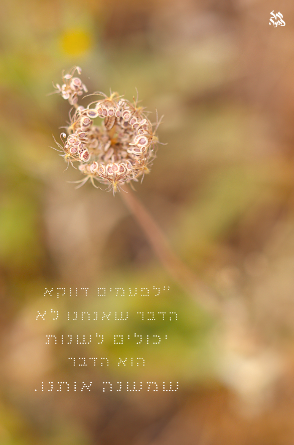 צילום מסך 2024-06-07 111541.png