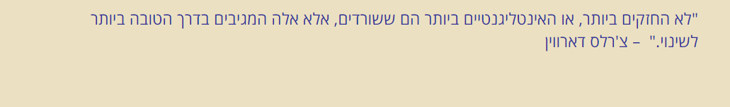 צילום מסך 2024-07-07 172840.png