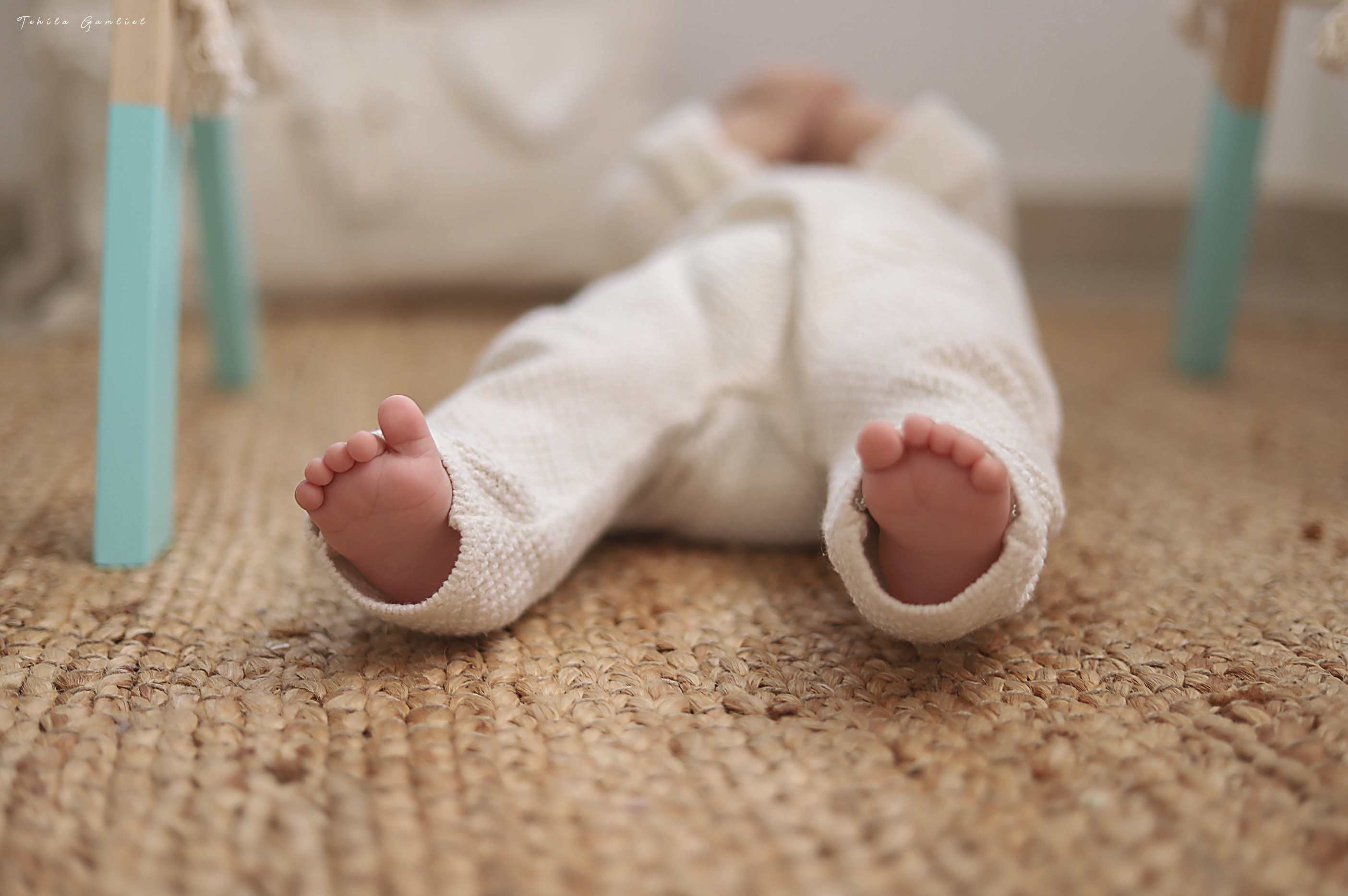 צילום מסך 2024-11-12 ב-12.53.20.png