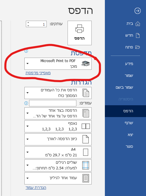 צילום מסך 2024-11-20 133513.png