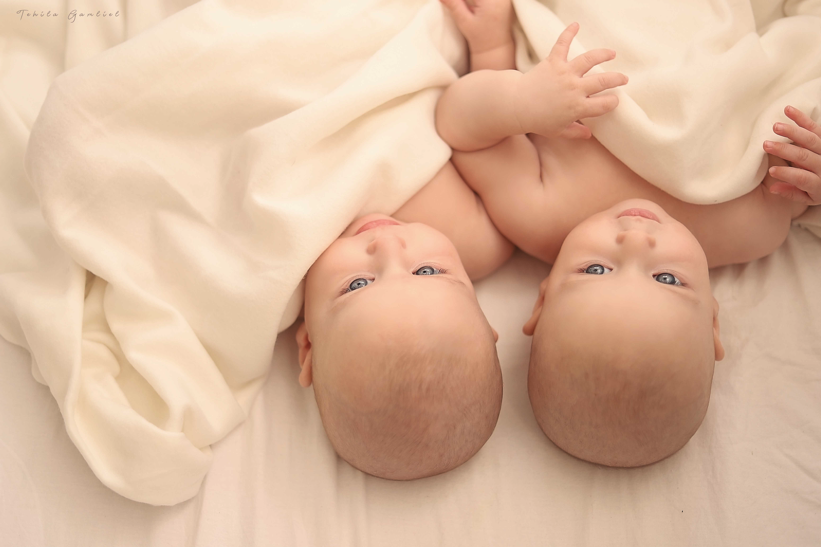 צילום מסך 2024-11-24 ב-13.44.09.png