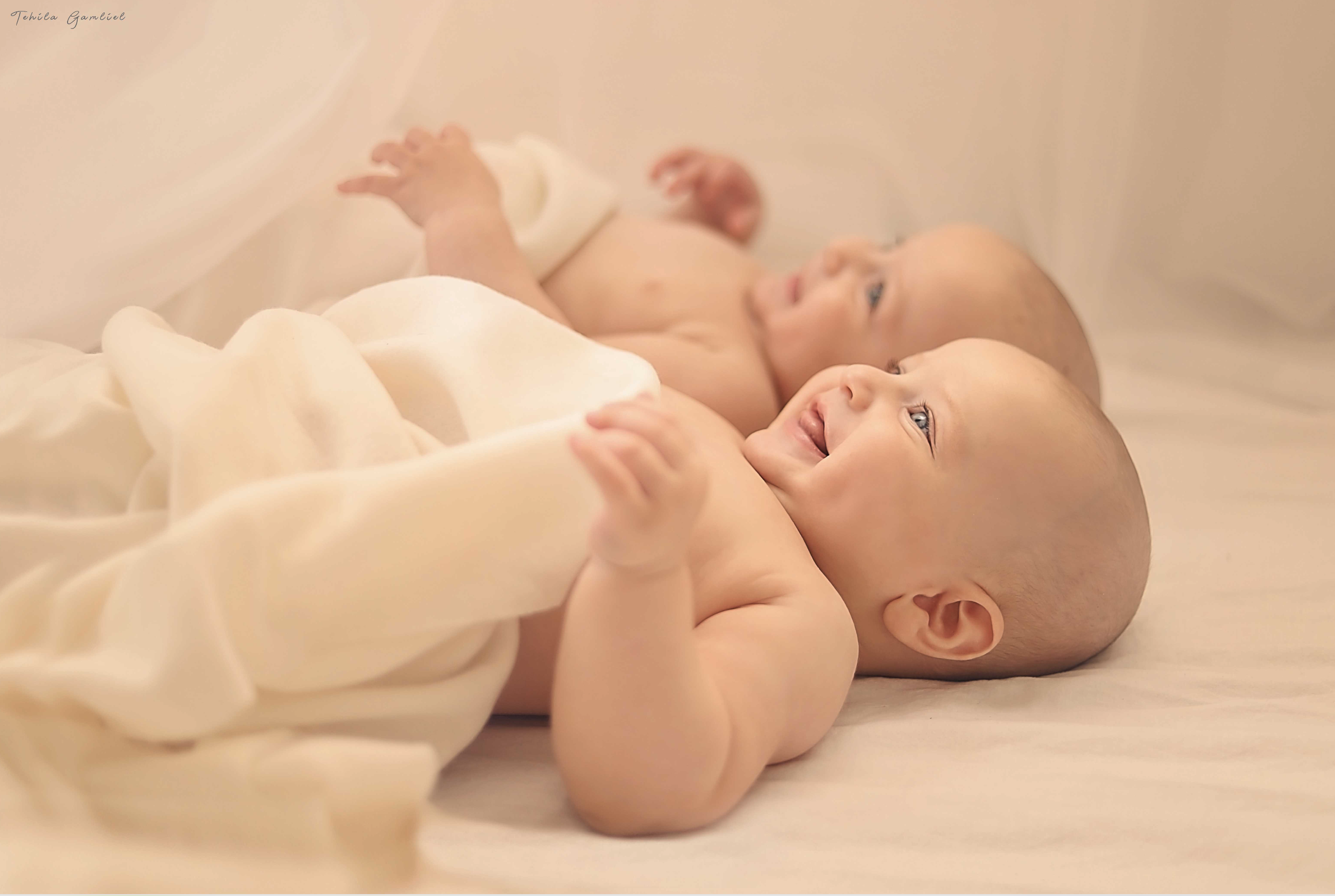 צילום מסך 2024-11-24 ב-13.45.08.png