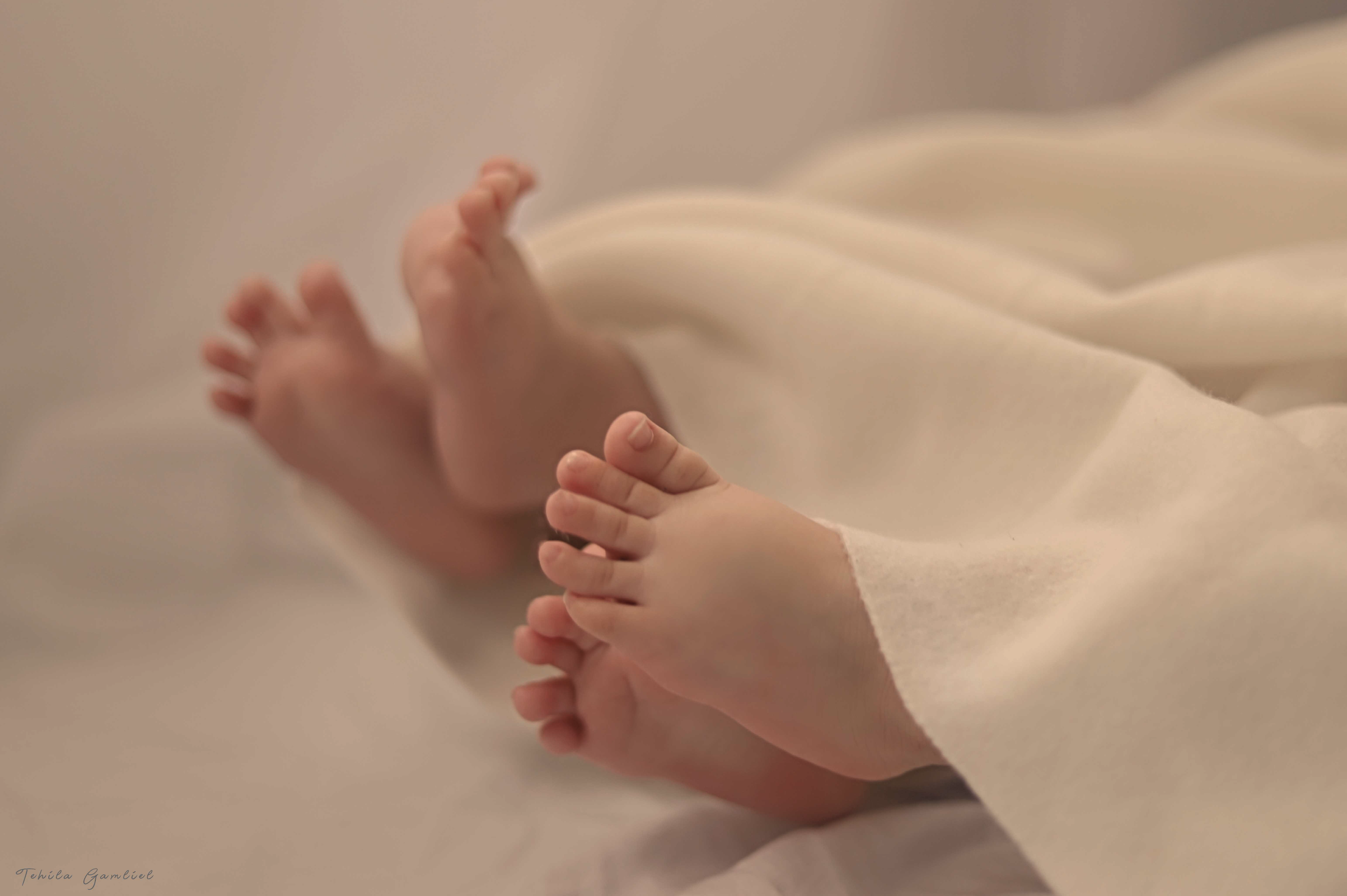 צילום מסך 2024-11-24 ב-13.45.16.png