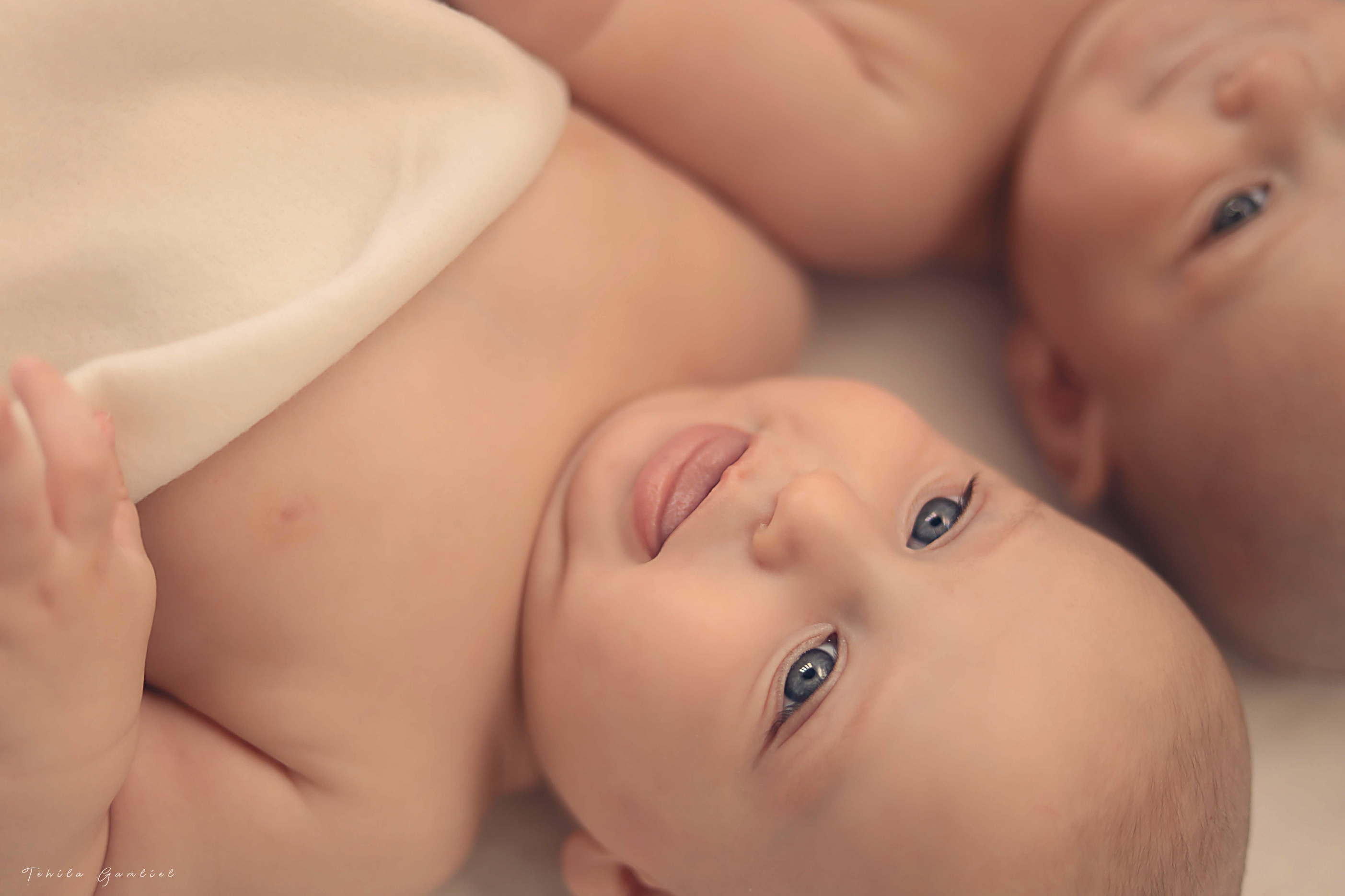 צילום מסך 2024-11-24 ב-13.53.58.png