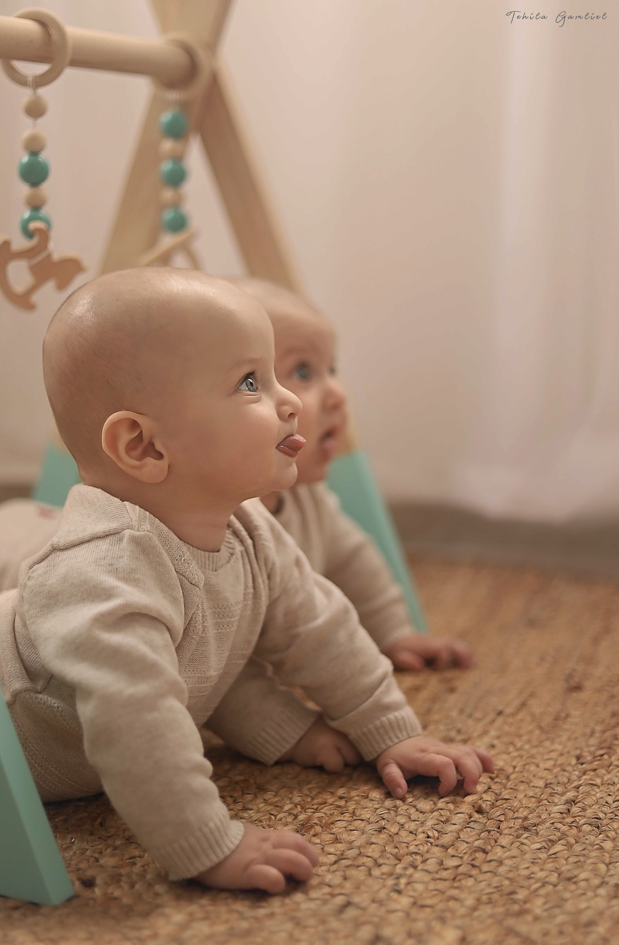 צילום מסך 2024-11-24 ב-13.56.24.png