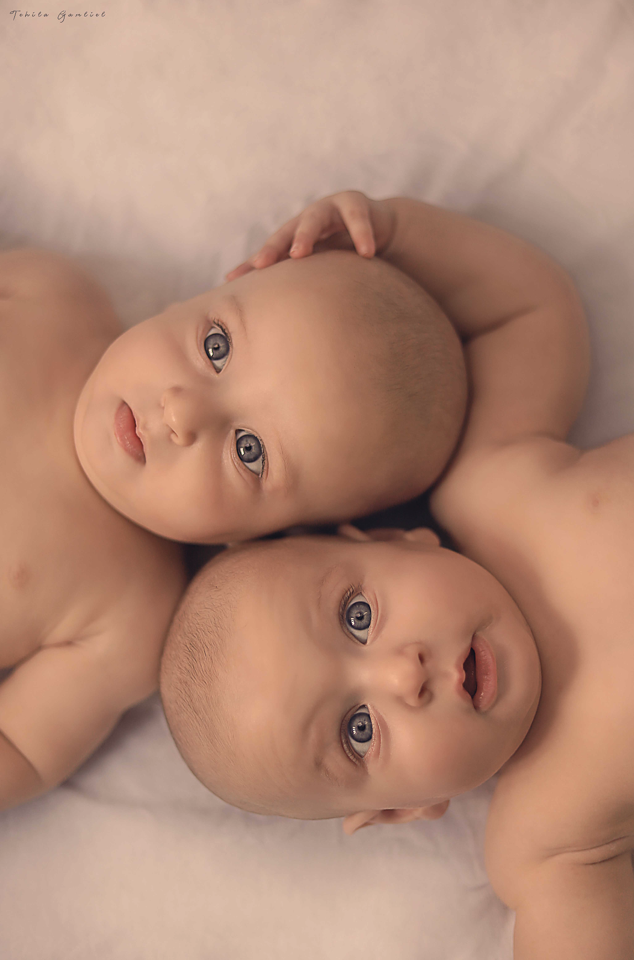 צילום מסך 2024-11-24 ב-14.36.36.png