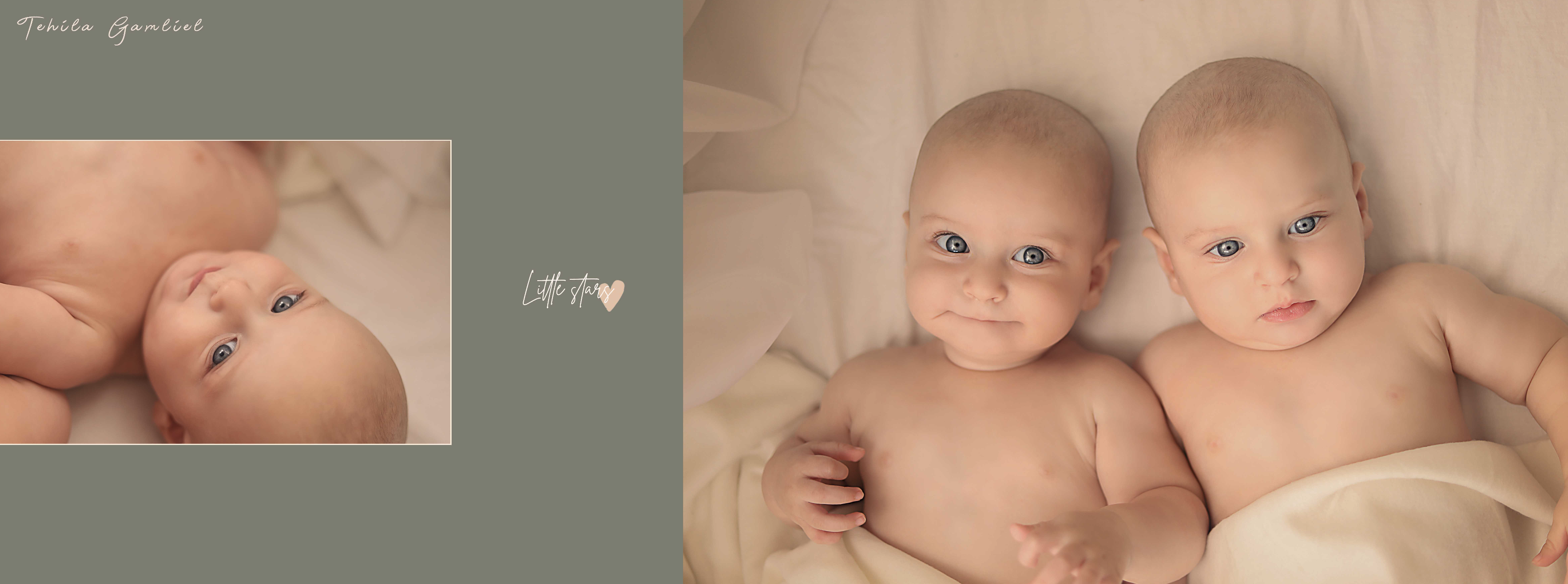 צילום מסך 2024-11-24 ב-14.39.25.png