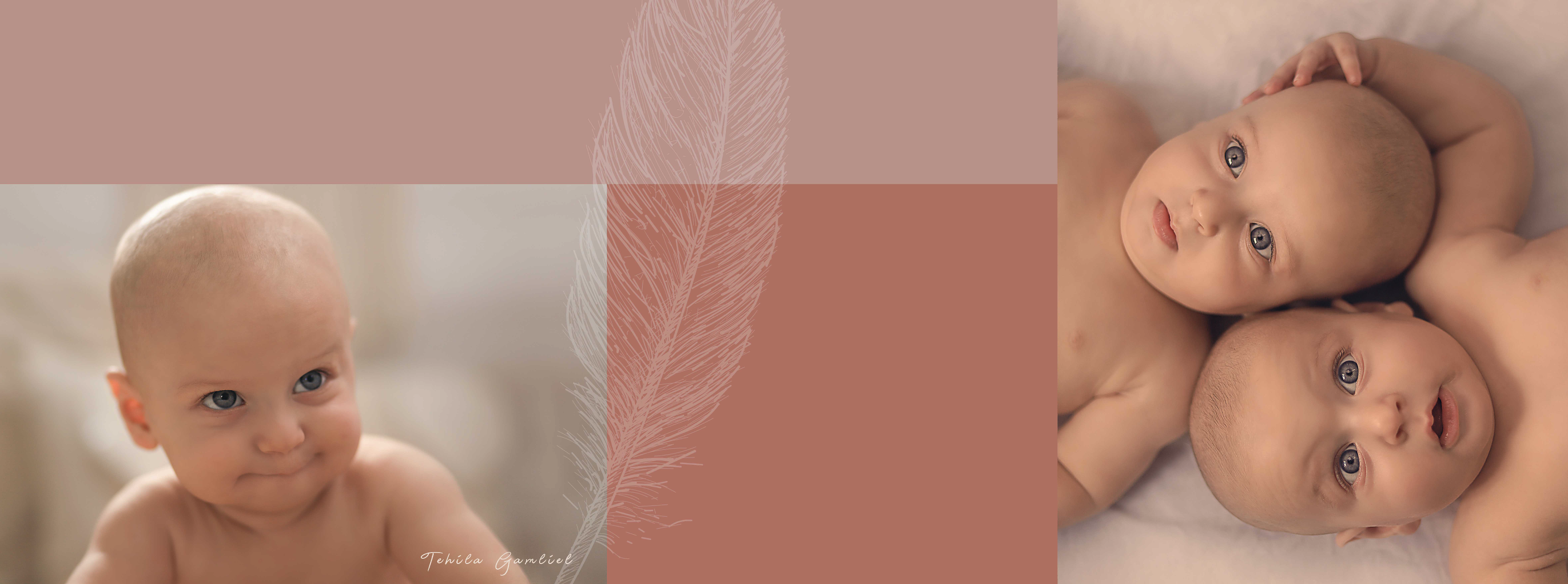 צילום מסך 2024-11-24 ב-14.41.51.png