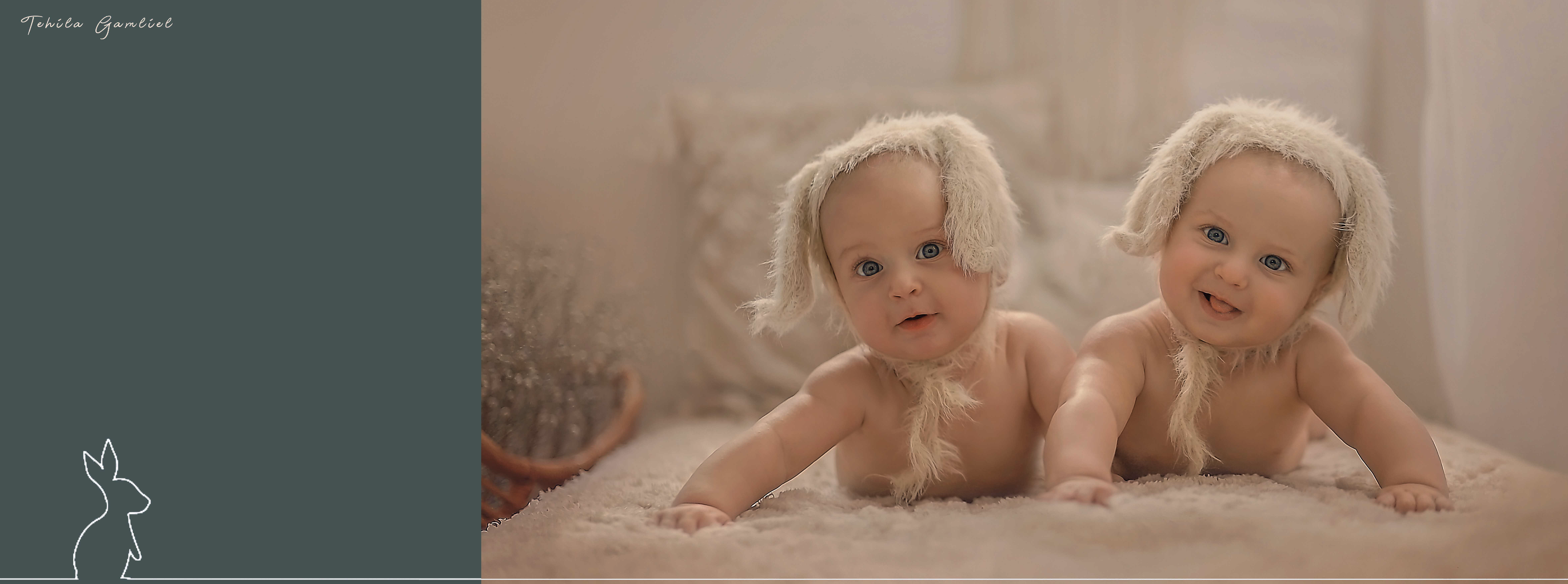 צילום מסך 2024-11-24 ב-14.41.59.png